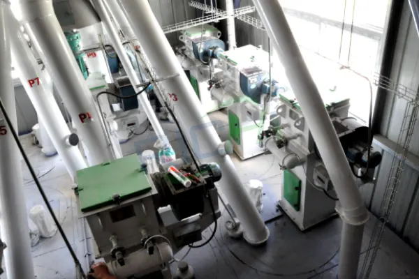 10TPH premix feed production line installed in Netherlands, complete animal feed premix manufacturing plant