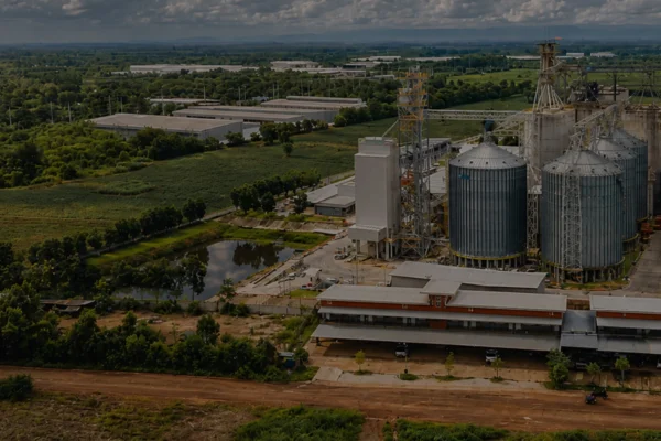Aerial view of complete livestock feed pellet production line plant with silos for animal feed manufacturing