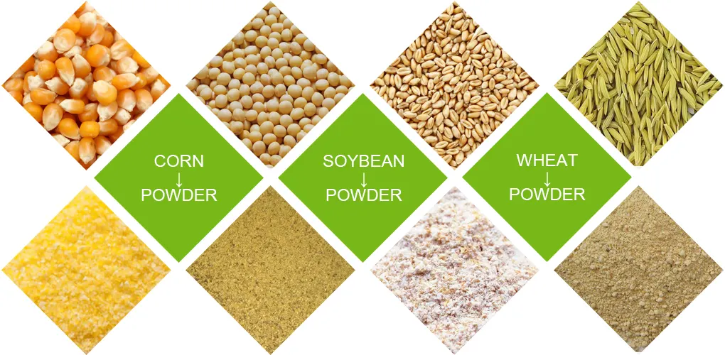 Raw materials for livestock feed production line: corn, soybean and wheat grains and powder for animal feed pellet making